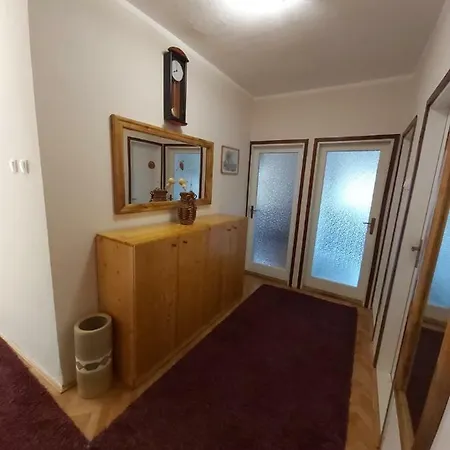 Apartman Ruza 트레빈예